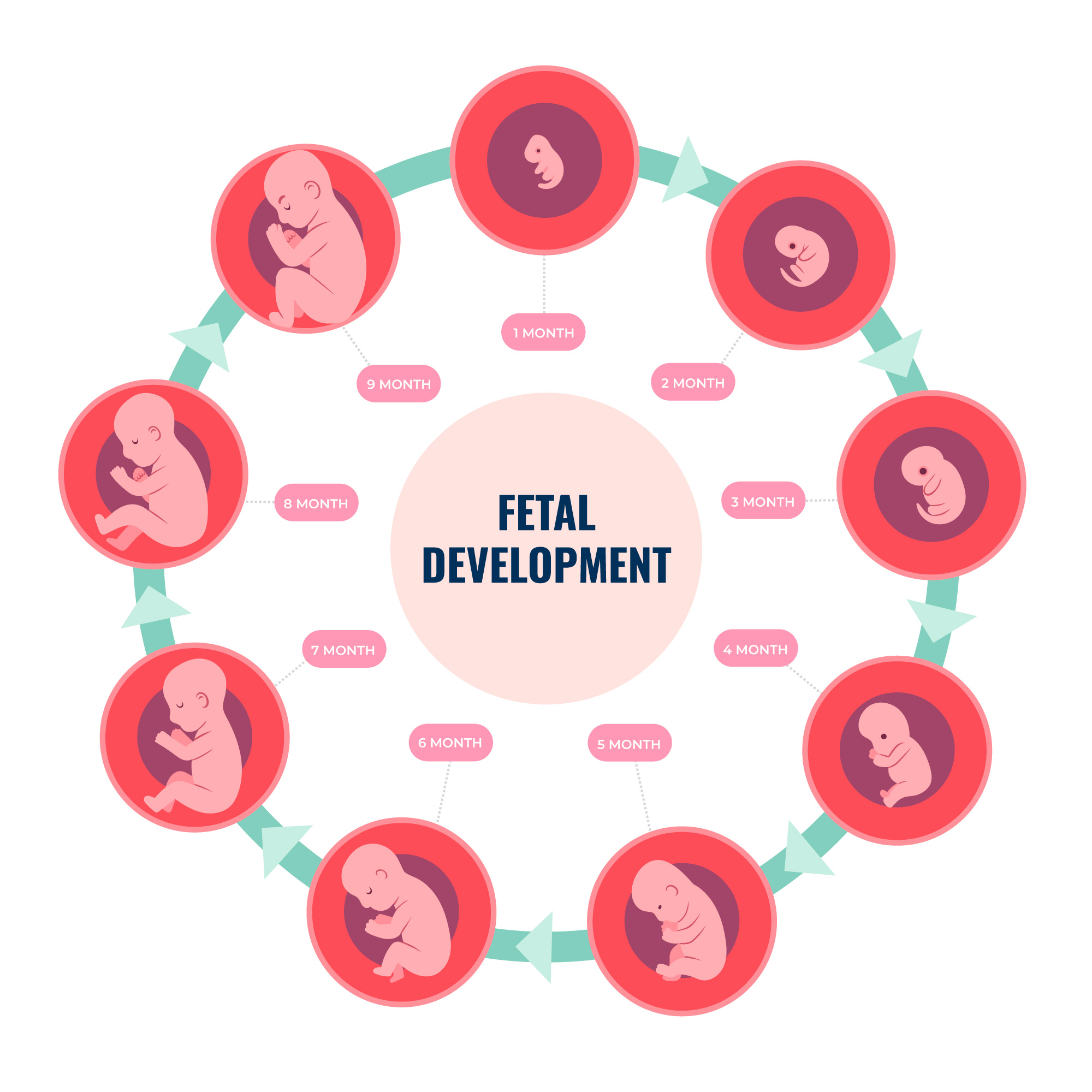 QUICKMDMD PEDIATRIC AT PRENATAL CLINIC